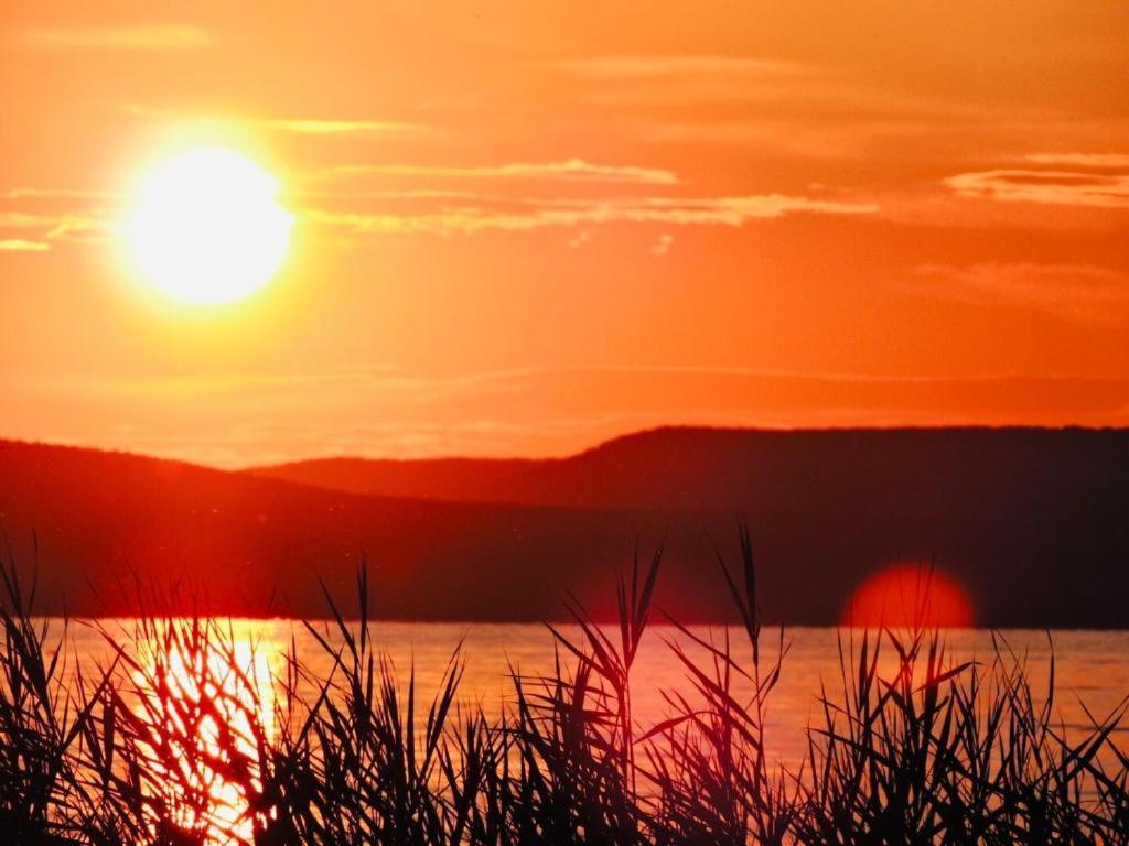 SzoladGrosses Ferienhaus Plattensee Balaton - Nyaralo Haz 6 Szobaval, 5 Fuerdoszobaval, 3000 Nmアパートメント エクステリア 写真