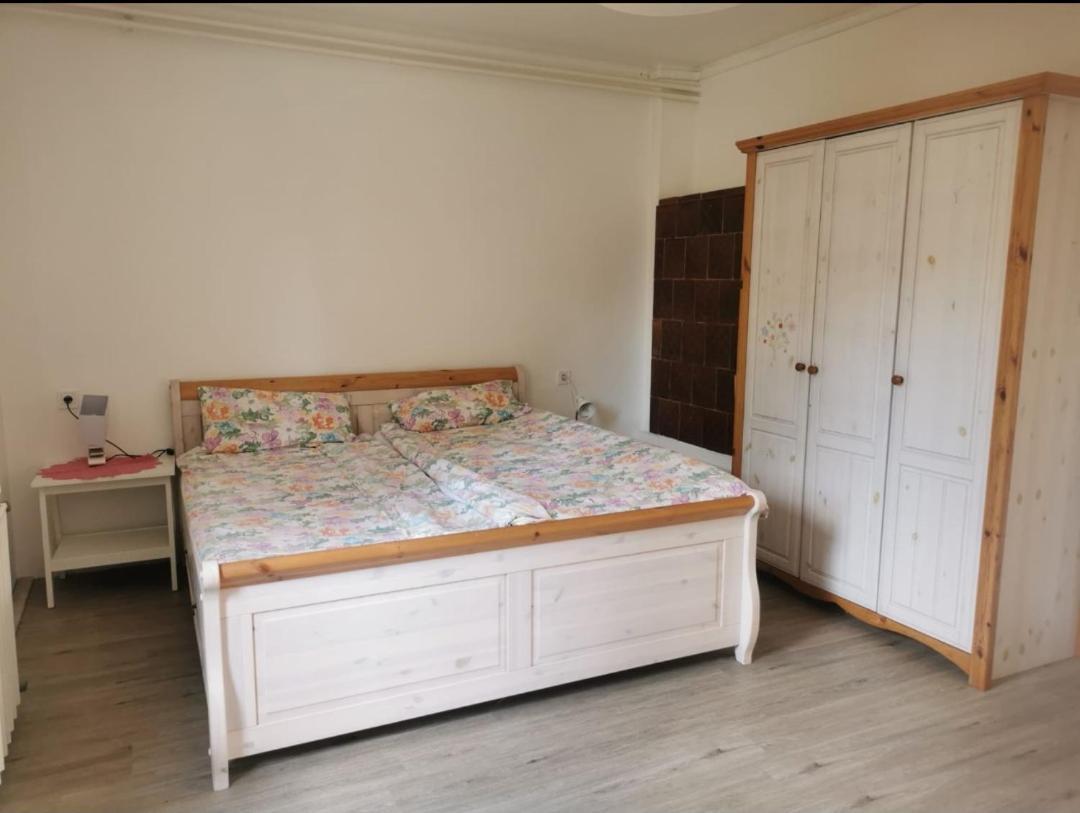 SzoladGrosses Ferienhaus Plattensee Balaton - Nyaralo Haz 6 Szobaval, 5 Fuerdoszobaval, 3000 Nmアパートメント エクステリア 写真