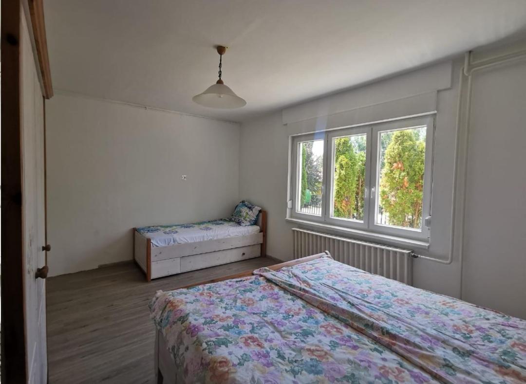 SzoladGrosses Ferienhaus Plattensee Balaton - Nyaralo Haz 6 Szobaval, 5 Fuerdoszobaval, 3000 Nmアパートメント エクステリア 写真