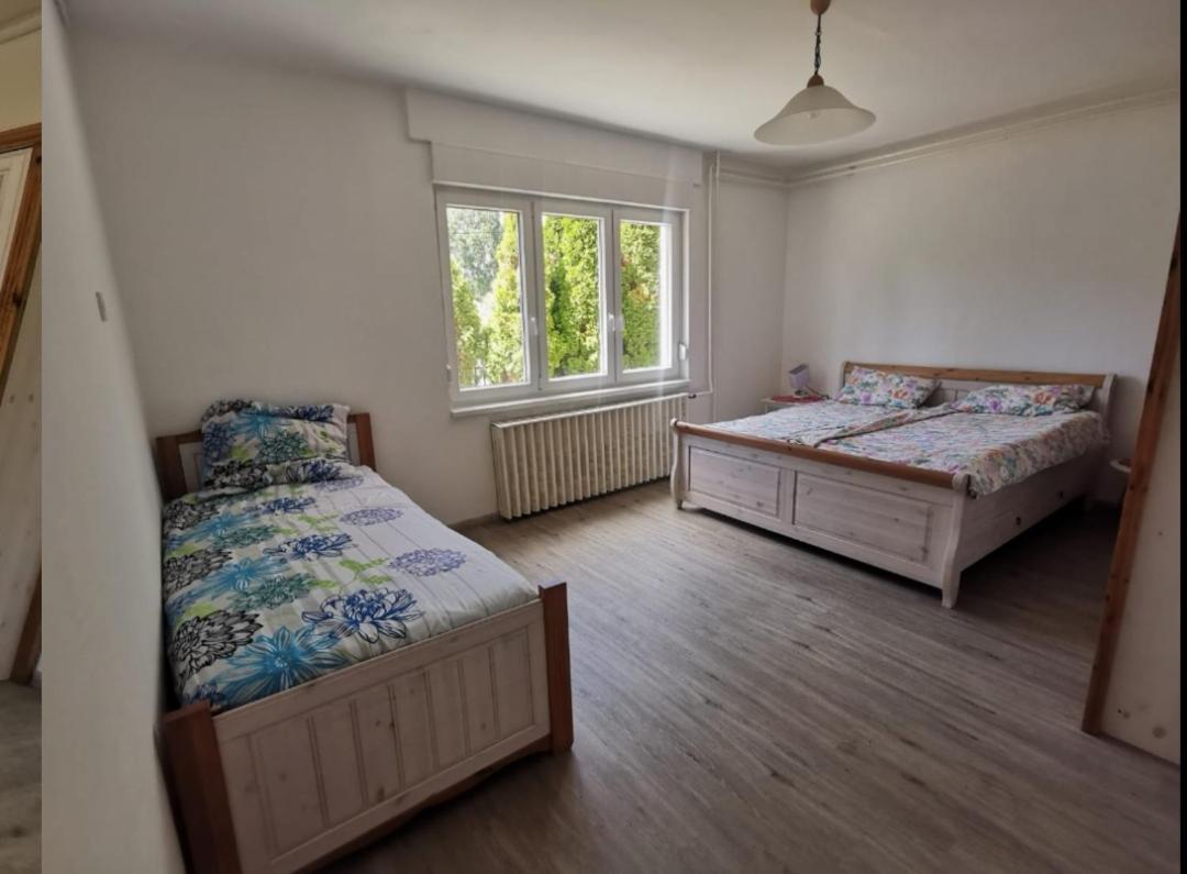 SzoladGrosses Ferienhaus Plattensee Balaton - Nyaralo Haz 6 Szobaval, 5 Fuerdoszobaval, 3000 Nmアパートメント エクステリア 写真